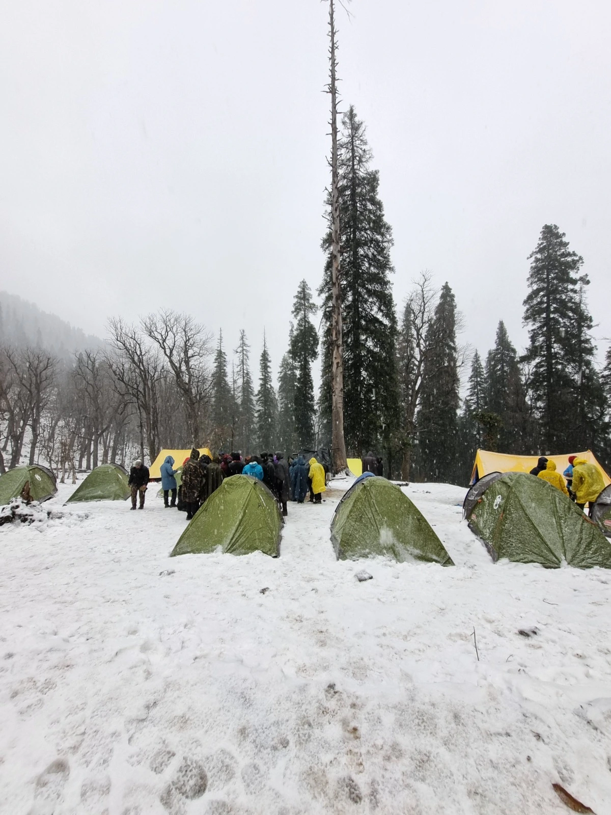 Kedarkantha-trek-Shiva-Adventures-3.webp