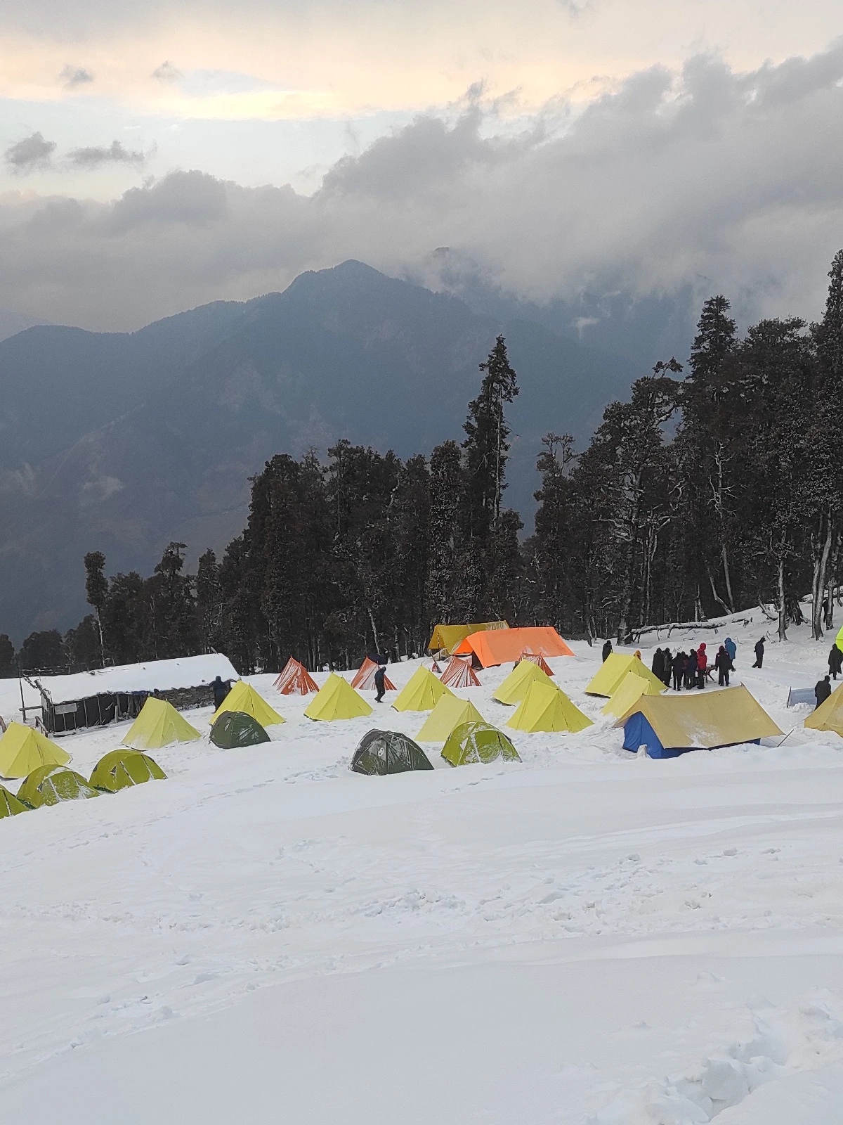 Kedarkantha-trek-Shiva-Adventures-7.webp