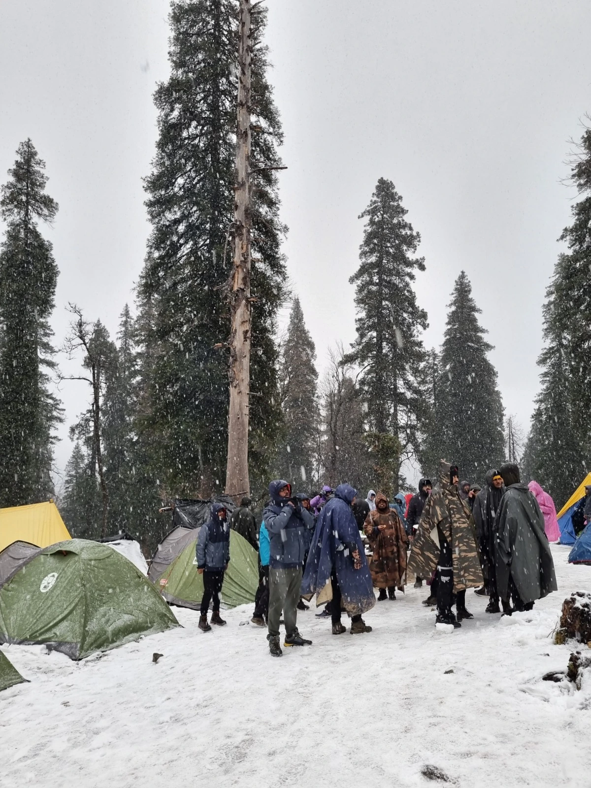 Kedarkantha-trek-Shiva-Adventures.webp